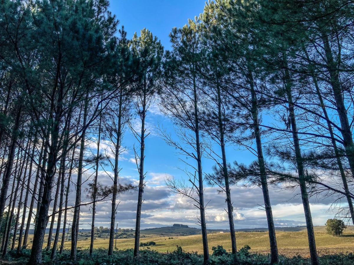 Pinos De La Quebrada Villa Quebrada de los Cuervos Exterior photo