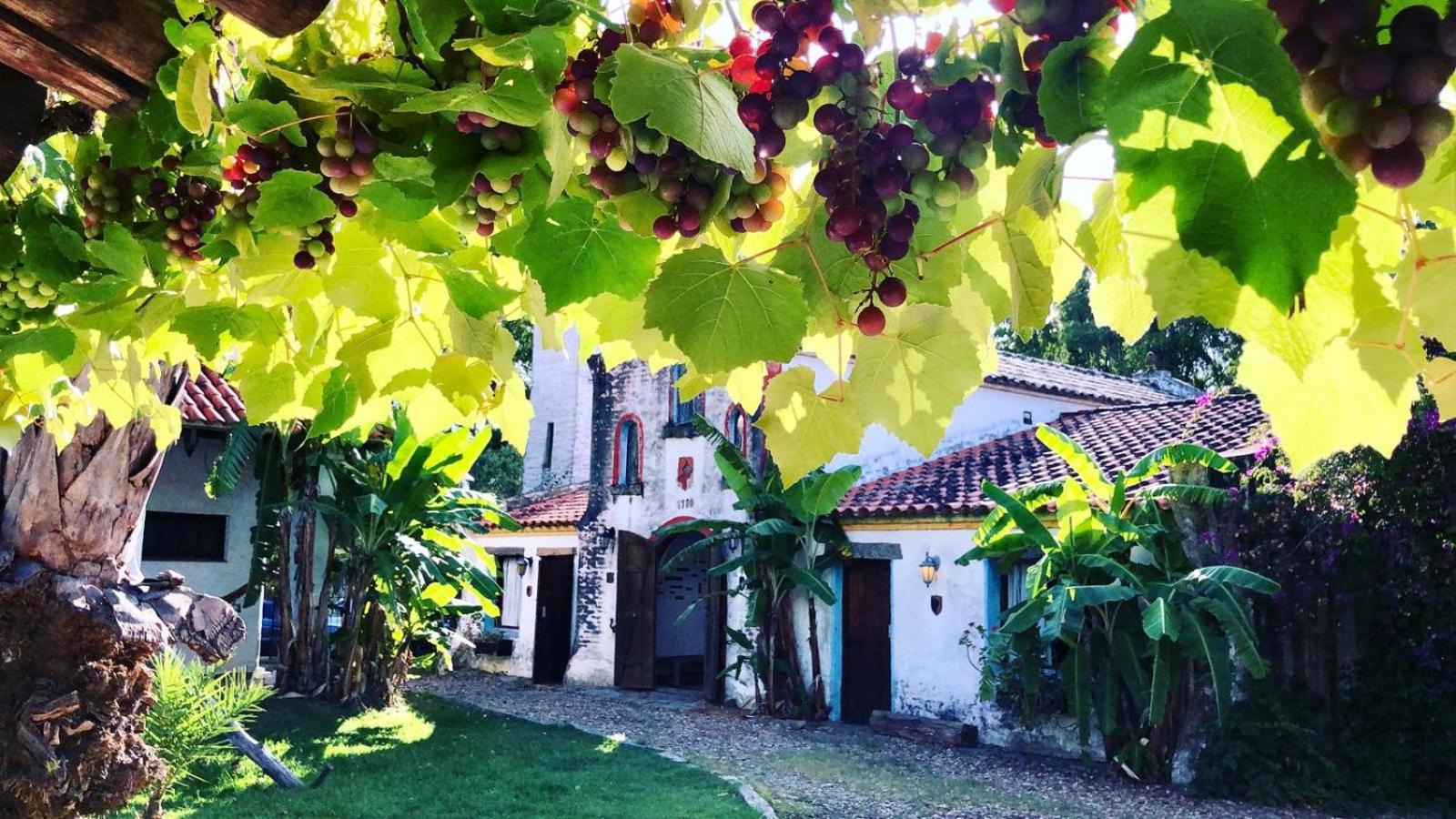 Pinos De La Quebrada Villa Quebrada de los Cuervos Exterior photo