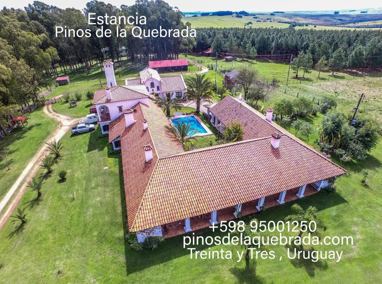 Pinos De La Quebrada Villa Quebrada de los Cuervos Exterior photo